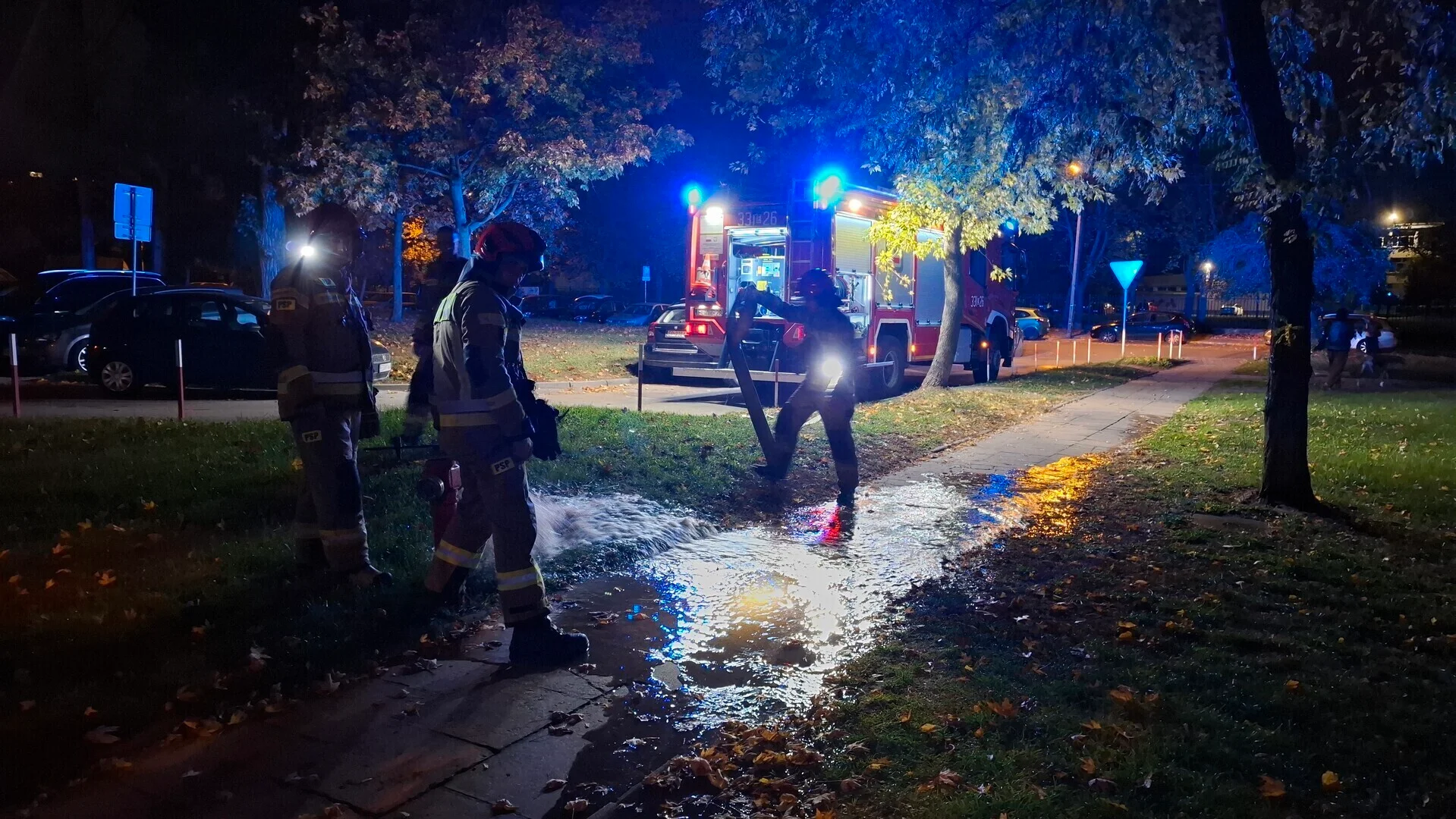 Pożar spróchniałego drzewa na osiedlu przy ulicy Belzackiej w Piotrkowie Trybunalskim