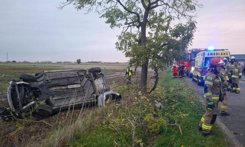 Pojazd Renault Laguna uderzył w drzewo w Cisowej po 16:00