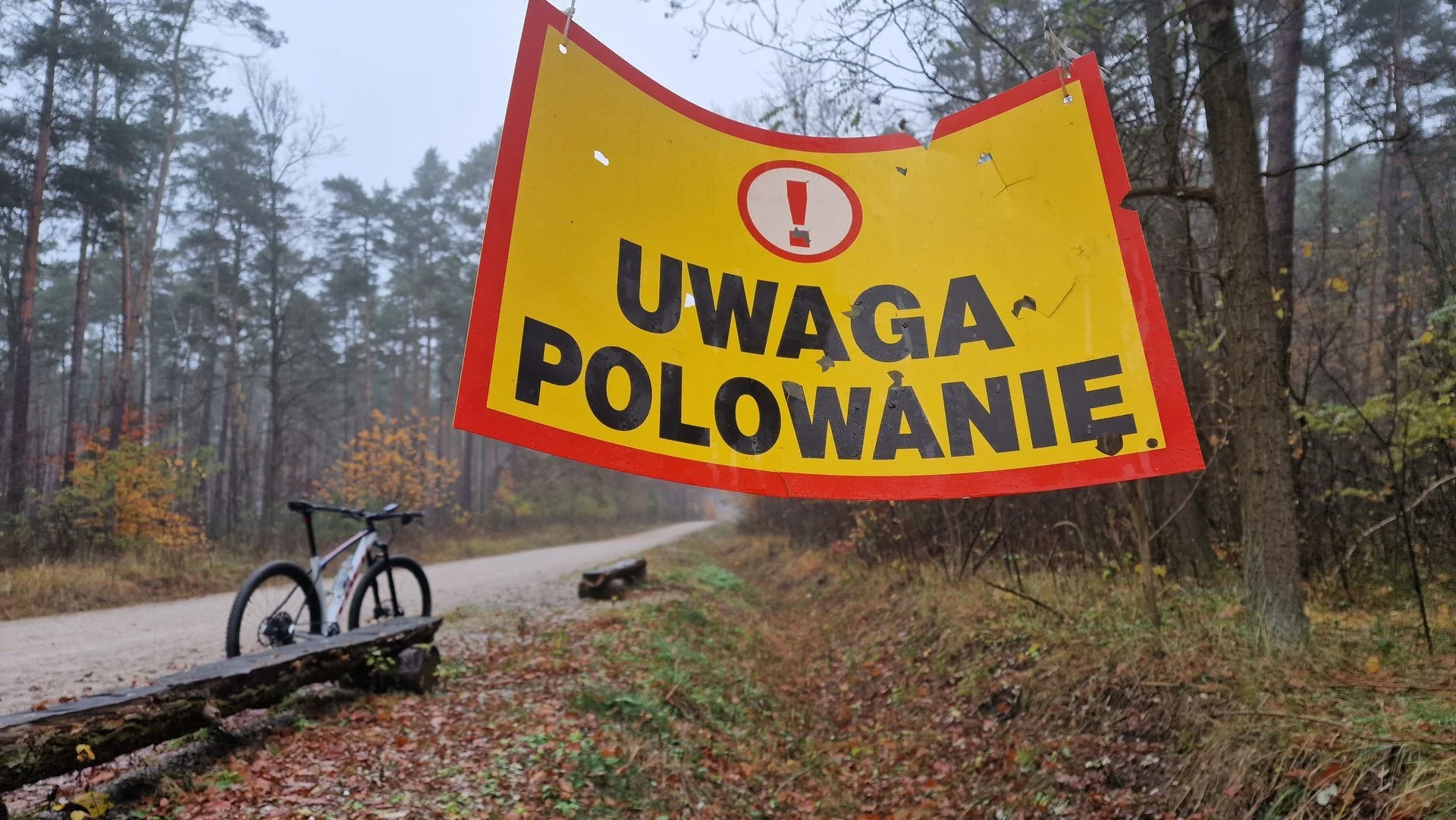 Koło Łowieckie „Sokół” zapowiedziało polowania w okolicach Piotrkowa