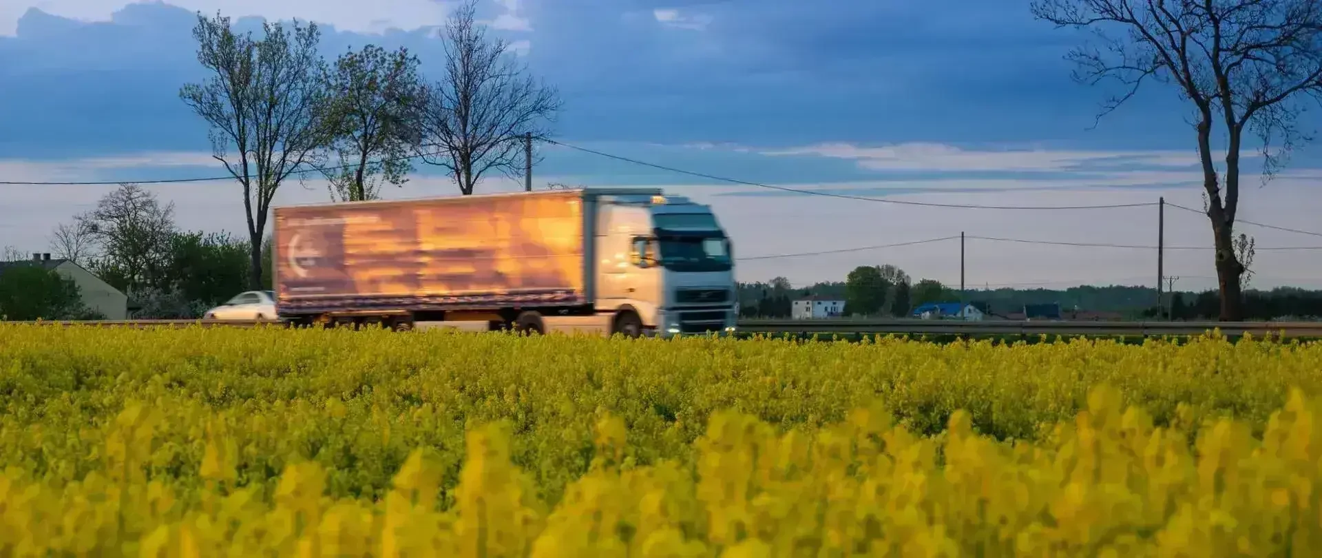 Decyzja środowiskowa dla 70 km dróg S12 i S74 w Łódzkiem – budowa nie została wstrzymana